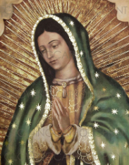 <em>Lupita J.</em>